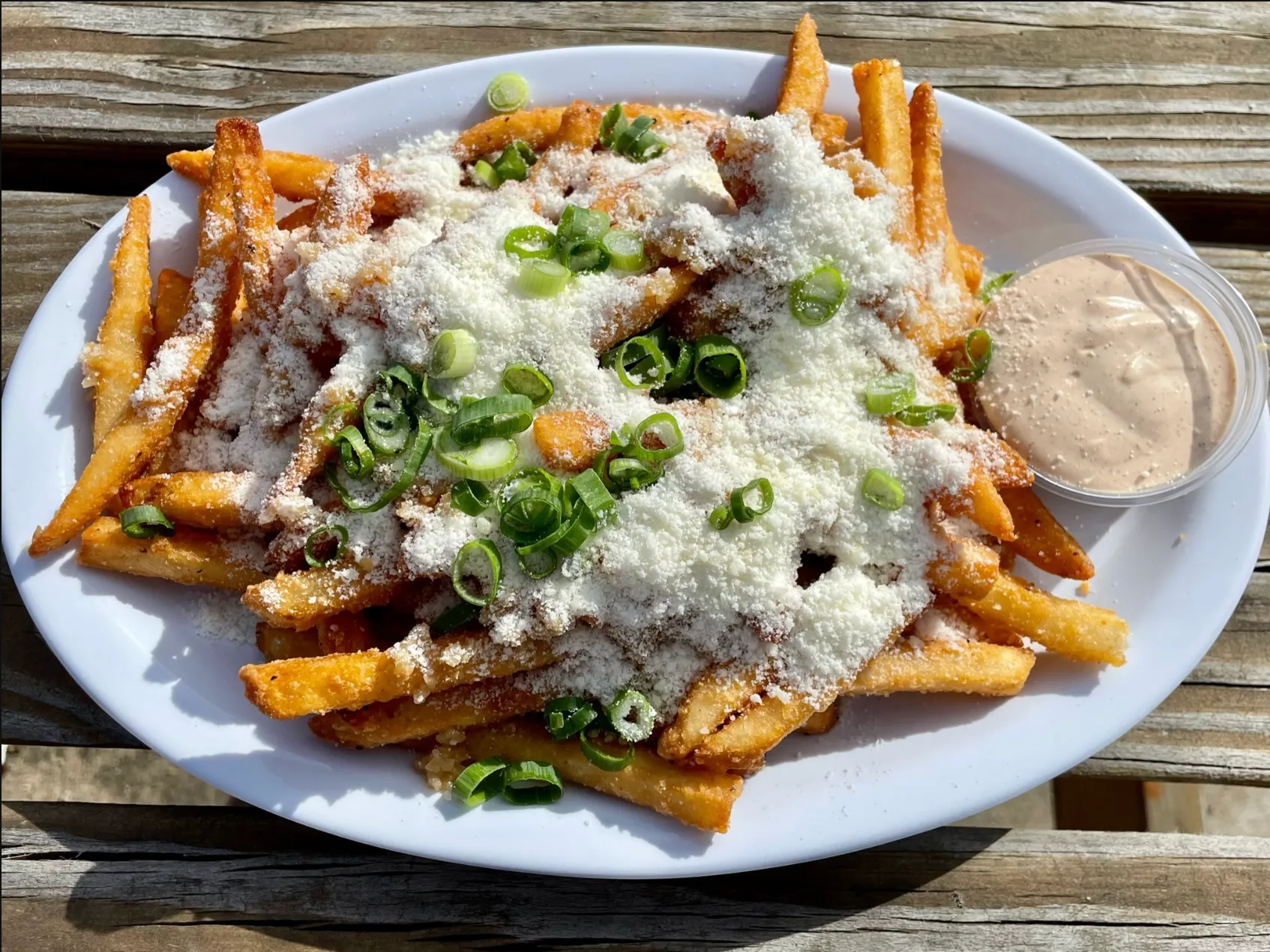 Garlic Parmesan Fries