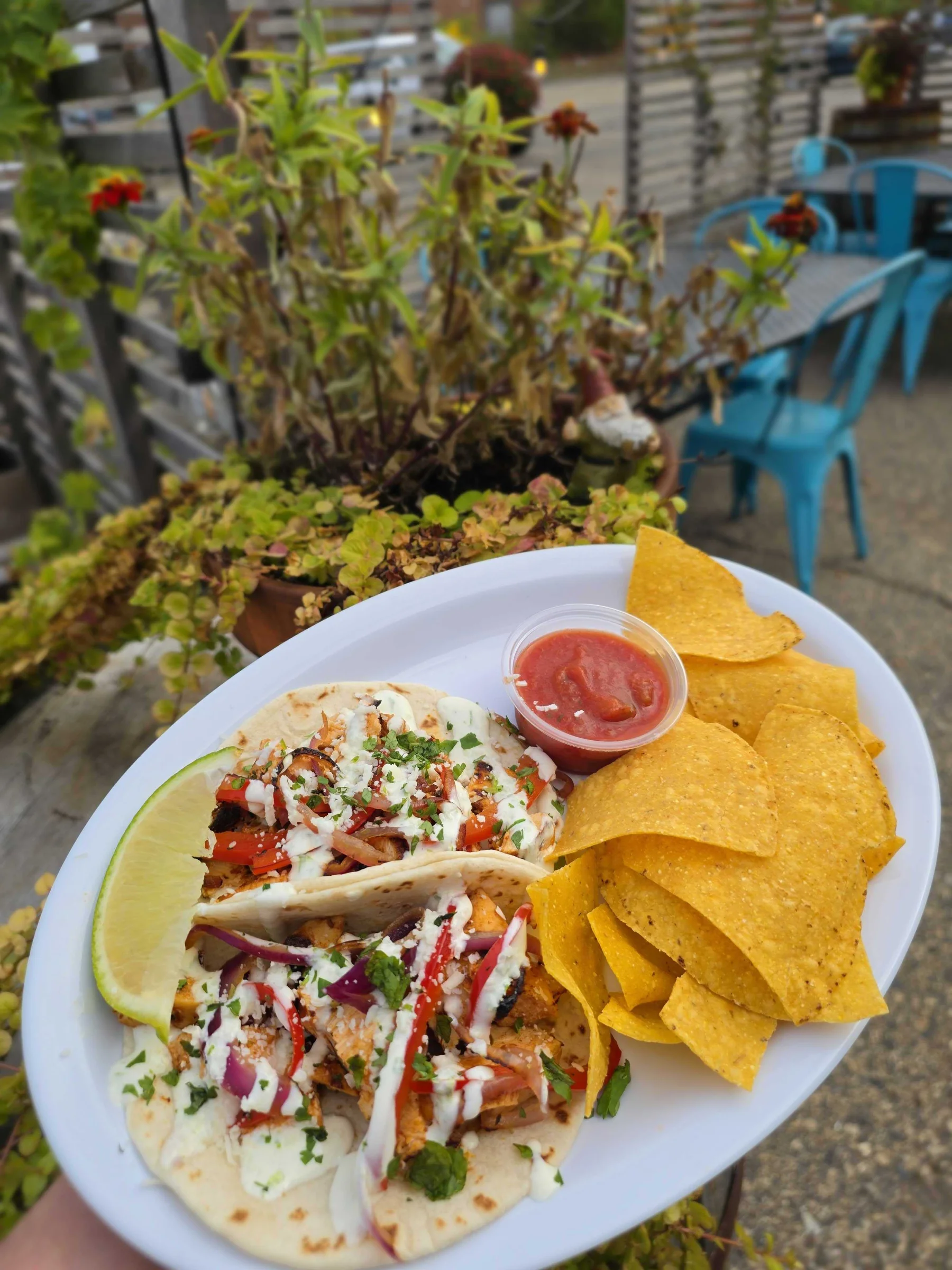 Two adobo chicken tacos on a plate with a side of chips and salsa.