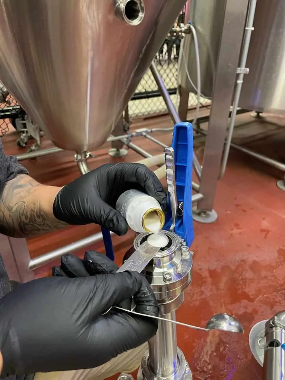 Photo of gloved hands pouring hop extract into a brewing vessel.