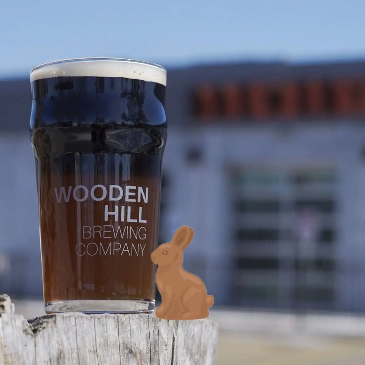 Picture of our Chocolate Bunny beer-cocktail that is a black & tan.