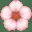 🌸