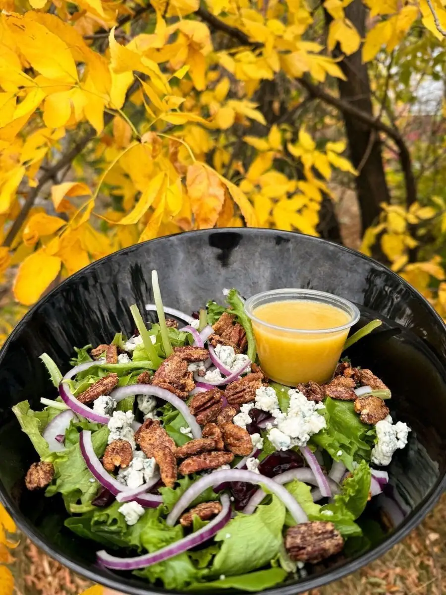 Picture of our Harvest Salad. Picture shows the salad in a black bowl, taken outside near a yellow-leafed tree.