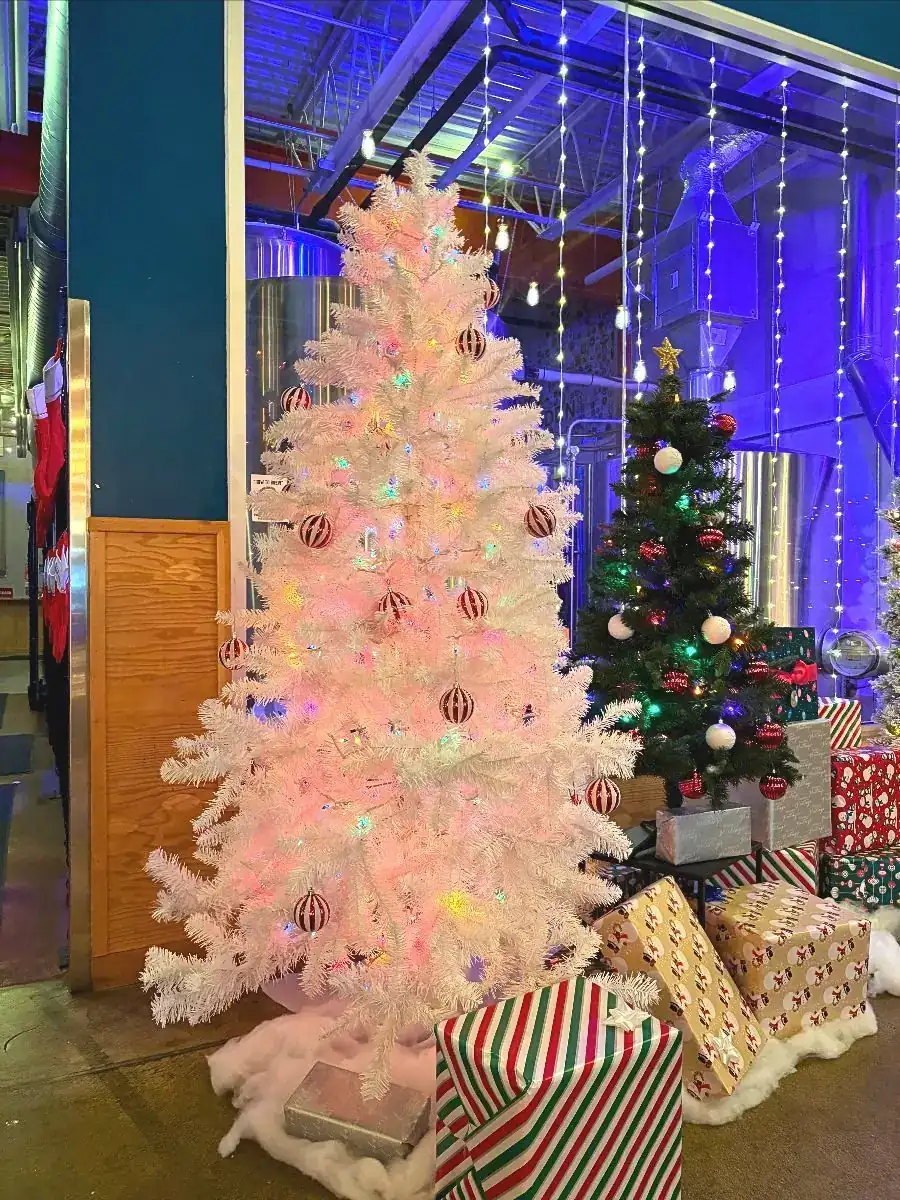 Picture showing our community tree (white tree) and a small green tree with wrapped presents at the bottom.