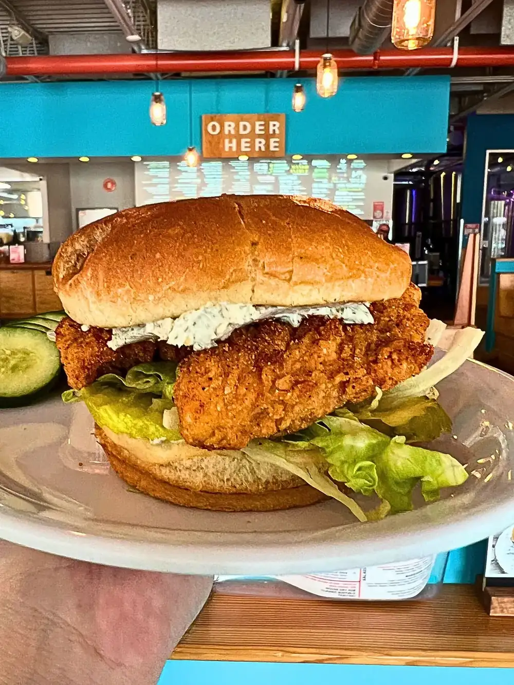A close-up of the "What's the Dill?" chicken sandwich sitting on a white plate atop a wooden table. The sandwich features a massive, golden-brown crispy chicken tender tucked inside a glossy, toasted brioche bun. It is layered with fresh shredded lettuce, thick crinkle-cut pickles, and a generous spread of creamy honey dill cream cheese. The taproom's "Order Here" counter and warm overhead lighting are blurred in the background.